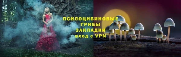 ПСИЛОЦИБИНОВЫЕ ГРИБЫ Алзамай