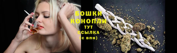 бошки Абаза