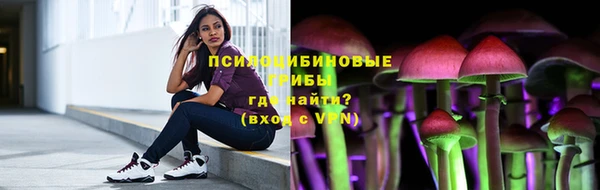бошки Абаза