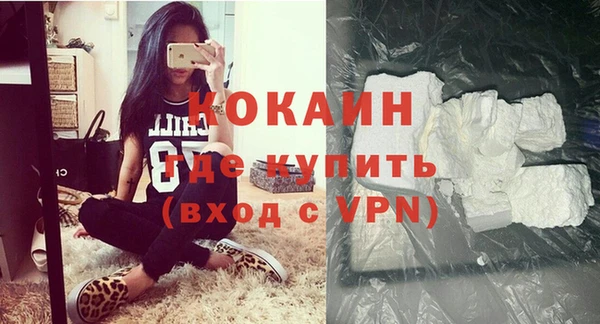 прущие грибы Пересвет