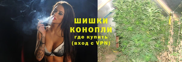 ПСИЛОЦИБИНОВЫЕ ГРИБЫ Алзамай